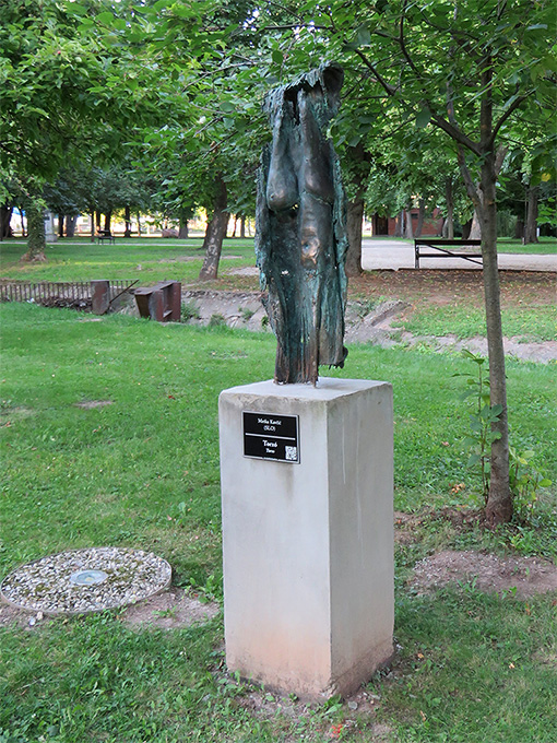 Torso