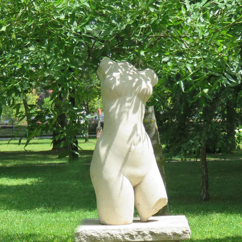 Torso